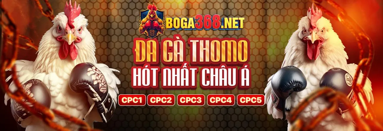 Đá gà trực tuyến bét 168 với các trận đấu hấp dẫn